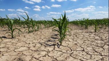 La falta de lluvias comienza a generar daños irreversibles