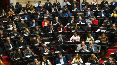 Diputados debatirán la próxima semana un proyecto para bajar la edad de imputabilidad a 14 años