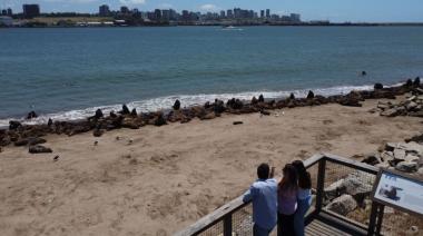 Hoteleros de Mar del Plata: "Si llegamos al 50% de ocupación, brindamos”