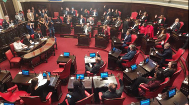 Se cayó la sesión del Senado que iba a tratar las reelecciones indefinidas