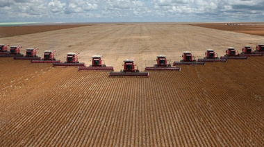 La hormiga y la cigarra versión agro