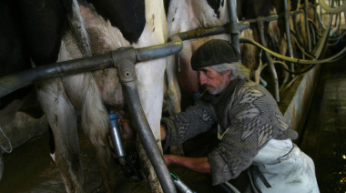 La leche, cada vez en menos manos