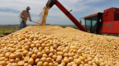 Se dispararon las declaraciones de venta de soja