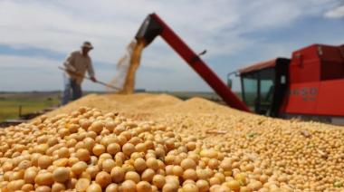 El campo vende antes de que suban las retenciones y el dólar baja de $ 1.200