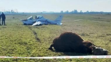 Un avión impactó contra un toro durante aterrizaje nocturno