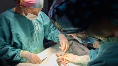 Trabajo en red entre hospitales bonaerenses lleva adelante operaciones neonatales