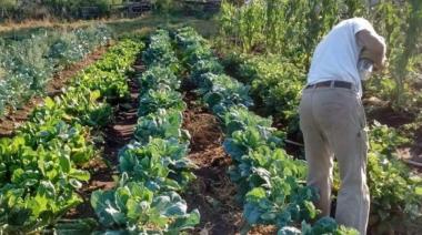 El fracaso del agronegocio