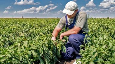 El Gobierno y la Rural sellaron un acuerdo para que la ANSES vaya directo al campo