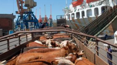 Oportunidades y claroscuros de exportar ganado en pie