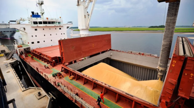 El campo aumentó sus exportaciones un 57% en julio, pero no alcanzó a frenar la suba del dólar