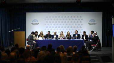 Salud mental: Encuentro federal en el Congreso
