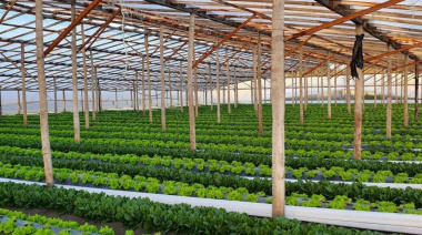 Alarma en el cordón frutihortícola de La Plata por la importación de frutas y verduras