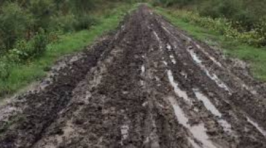 Concejales de la UCR presentaron un proyecto para la licitación del mantenimiento de los caminos rurales de Junín