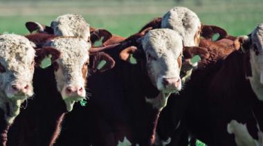 Dos jornadas con eje en la sanidad, la sostenibilidad y la innovación