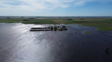 Ocho distritos bonaerenses fueron declarados en emergencia agropecuaria hasta febrero del 2026