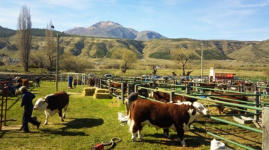 El campo celebró la restitución de zona libre de aftosa sin vacunación de la Patagonia