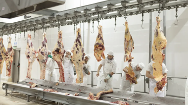 Cobrarán el servicio de faena en la provincia