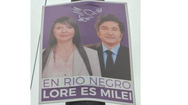 Villaverde, la diputada candidata que engrosa su prontuario