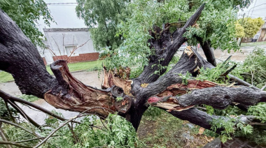 Fuerte tormenta generó daños en Los Toldos y otras localidades de la región