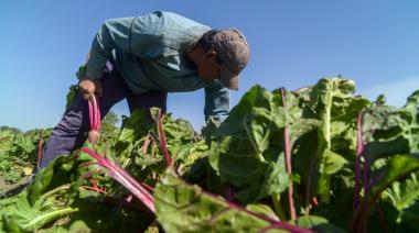 Suben aranceles al “campo que alimenta”