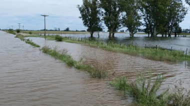 Pérdidas millonarias en Nueve de Julio: El 42% del Distrito quedó 'fuera de uso' por exceso hídrico