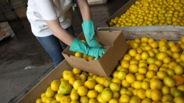 IPC de noviembre 2025: los 10 productos que más aumentaron y el rubro que más presionó el índice