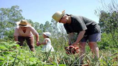 Producción: Hay manos que cuidan y otras que no