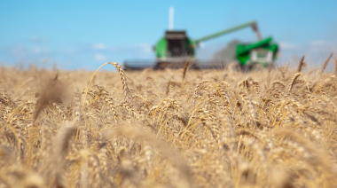 Récord de cosecha, pero menos dólares: el campo aportará USD 6.600 millones en el primer trimestre