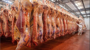 El precio de la carne subió 39 por ciento más que la inflación