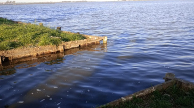 El Carpincho, tajamar y después