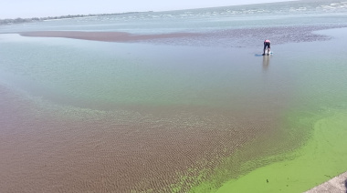 Responsabilidades frente a las cianobacterias