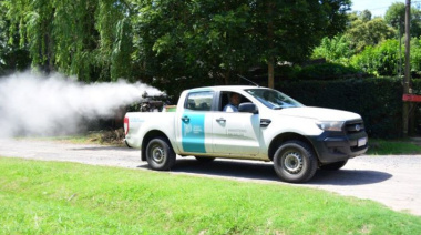 El mosquito que transmite el dengue empieza a acechar en Junín y otros sitios de la provincia