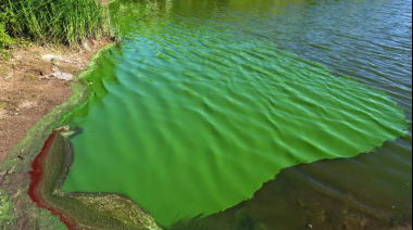 Pehuajó en alerta roja por cianobacterias
