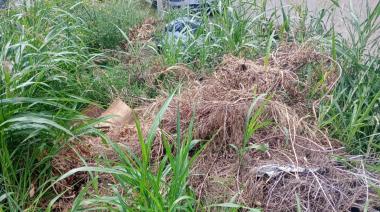Crecen los minibasurales en Junín