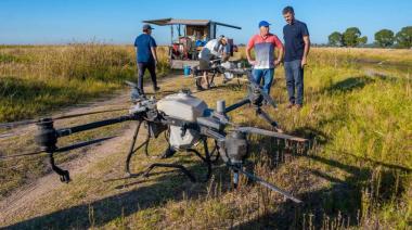 Tarde otra vez: la lucha contra el barigüí ya la perdieron