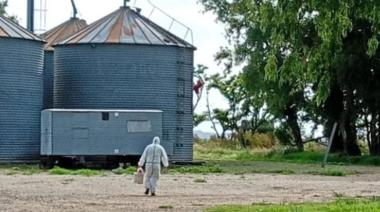 Murió una nena de 10 años por hantavirus en General Belgrano y crece la preocupación por los casos en la provincia