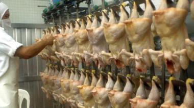 Placeres y displaceres de la carne