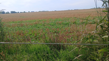 El clima cantó “bingo” en Junín
