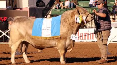 Un toro bonaerense se consagró campeón mundial