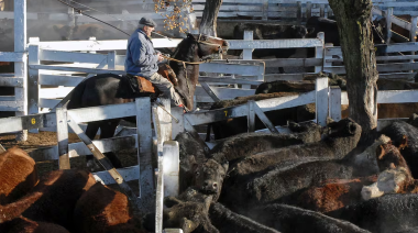 Carbap y la Provincia unificaron críticas y temen por un brote de aftosa