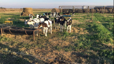 "La rentabilidad de los tambos no paró de caer"