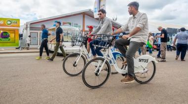 El carro adelante del caballo