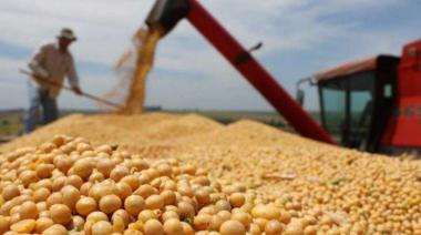 Se desplomó el ingreso de dólares del campo