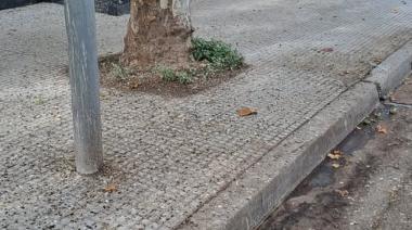 Los olores de Junín