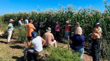 ALdeA, agricultura libre de agroquímicos