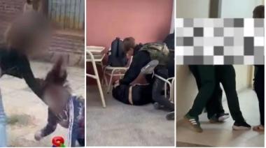 Una semana marcada por la violencia extrema en las escuelas bonaerenses