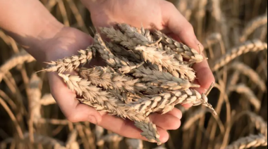 Preparativos para el invierno