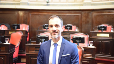 Petrecca: “El Estado no puede seguir reaccionando tarde frente a cada crisis"