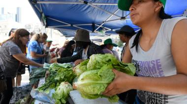 La Justicia le ordenó al Gobierno dar marcha atrás con el cierre del Programa “Volver al Trabajo”