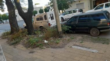 Crecen los ejemplos de abandono en la ciudad